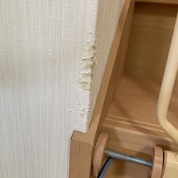 「音恐怖症克服記録（4日後）」サムネイル3