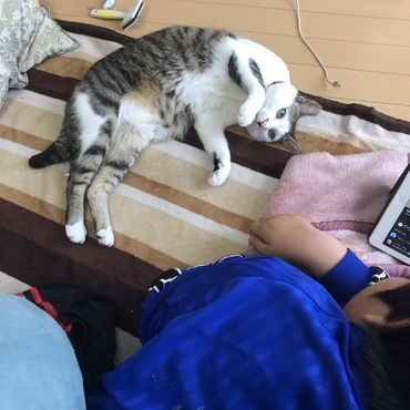 息子と横になる