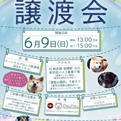 Marvelou協賛犬猫譲渡会