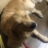 二ノ宮直樹