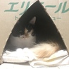 unico_123