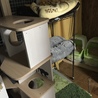 の写真