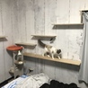 の写真