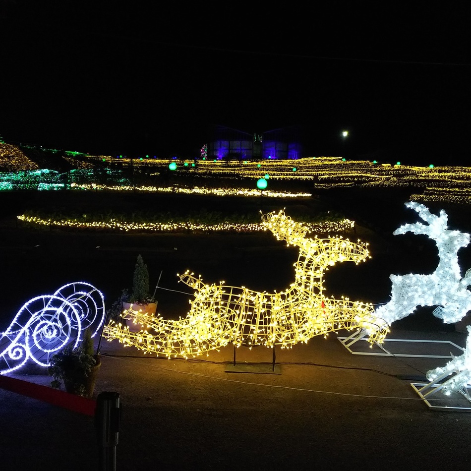 ジョバンニのカバー写真