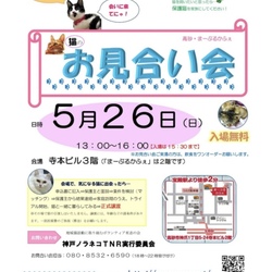 猫のお見合い会