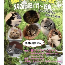 猫の譲渡会
