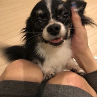 スー