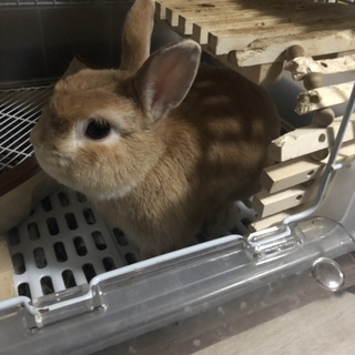 元気いっぱいのオスです♪