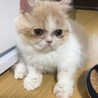 maro1107