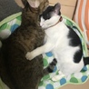 イフミル