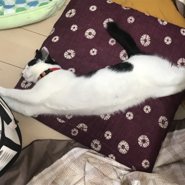 イフミルのカバー写真