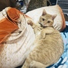 の写真