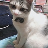 の写真