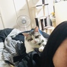の写真
