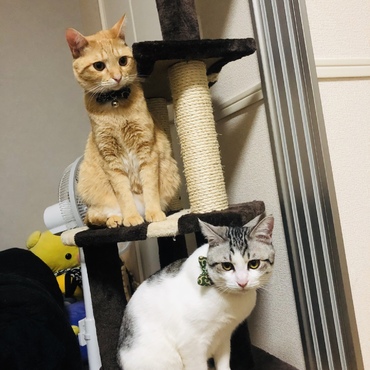 の写真