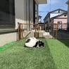 お外で日向ぼっこ☘️