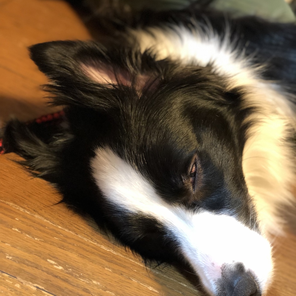 SOUL（そうる）のカバー写真