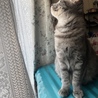 の写真