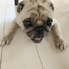 fkmt さん
