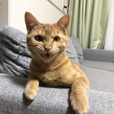 の写真