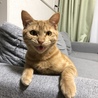 の写真