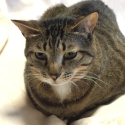 「ライ！雷に打たれる‼️」サムネイル2