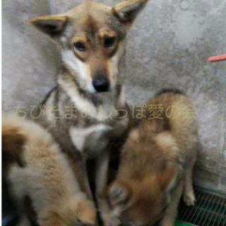 ありがとうございました。