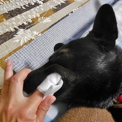 「歯磨き」サムネイル2