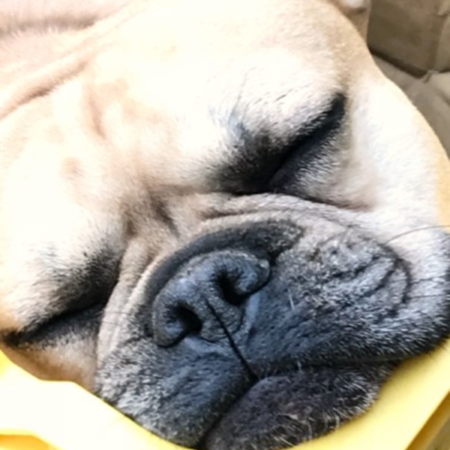 まなとしのカバー写真