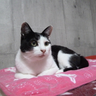 ビビりだけれどとても優しい子です