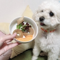 クッキー