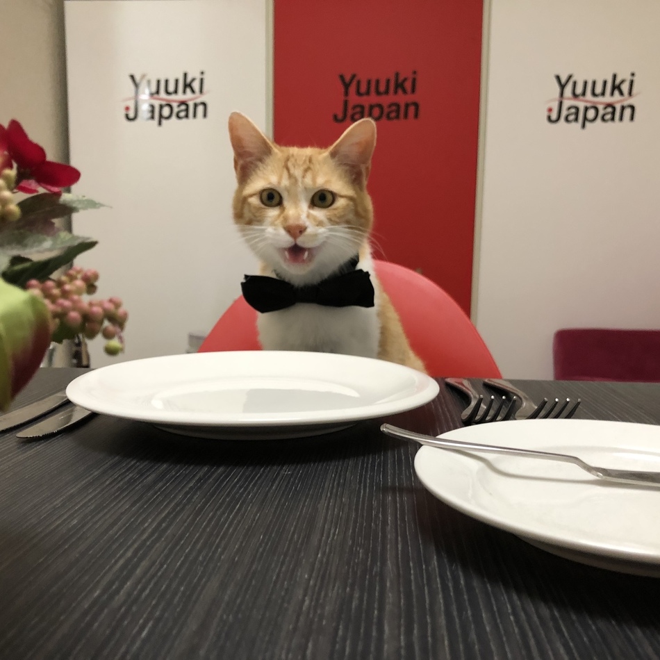 チョー助のカバー写真