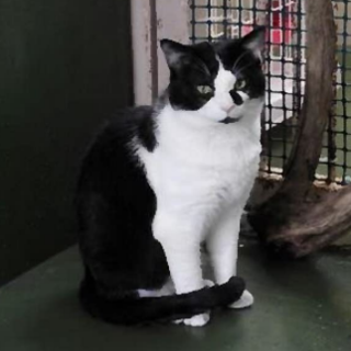 きれい目なボク（たまに変な顔もする）