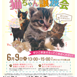ねこの譲渡会＠ドコモショップ サムネイル1