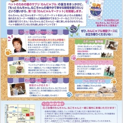 ねこの譲渡会@わかさ生活 サムネイル2