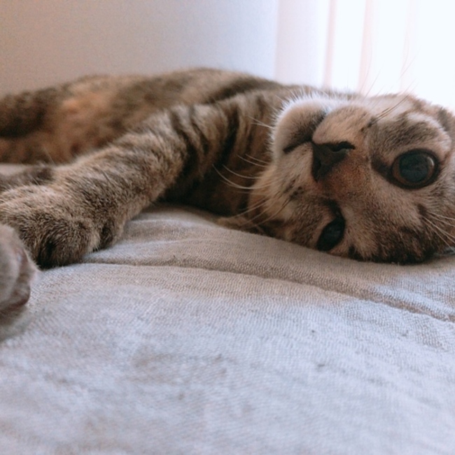 ChiAki22のカバー写真