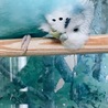 .あや