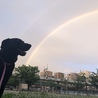 散歩してたら虹が出たよ★