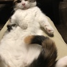 モフモフおなか