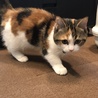 はじめまして