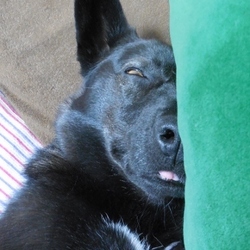 「寝顔が恐ろしい件」サムネイル1