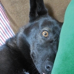 「寝顔が恐ろしい件」サムネイル3