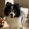 暑かったね〜。みんな熱中症には気をつけて！