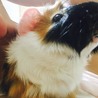 むぎちゃくん