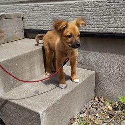 「やっと少し」サムネイル2