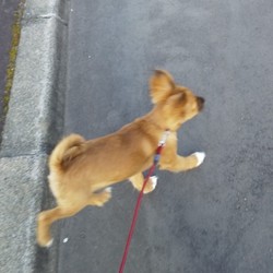 「やっと少し」サムネイル3