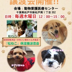 ペットと暮らそう！譲渡会開催