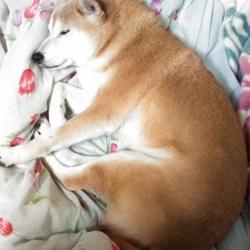 脚クロス〜〜〜？？？(；´∀｀)(；・∀・)