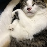 たのたの！！！