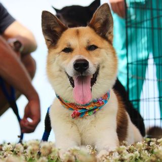 若いママとパパができたんだ♪